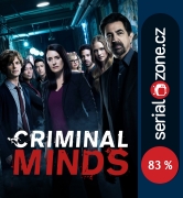 criminal minds 13x07 subtitulado